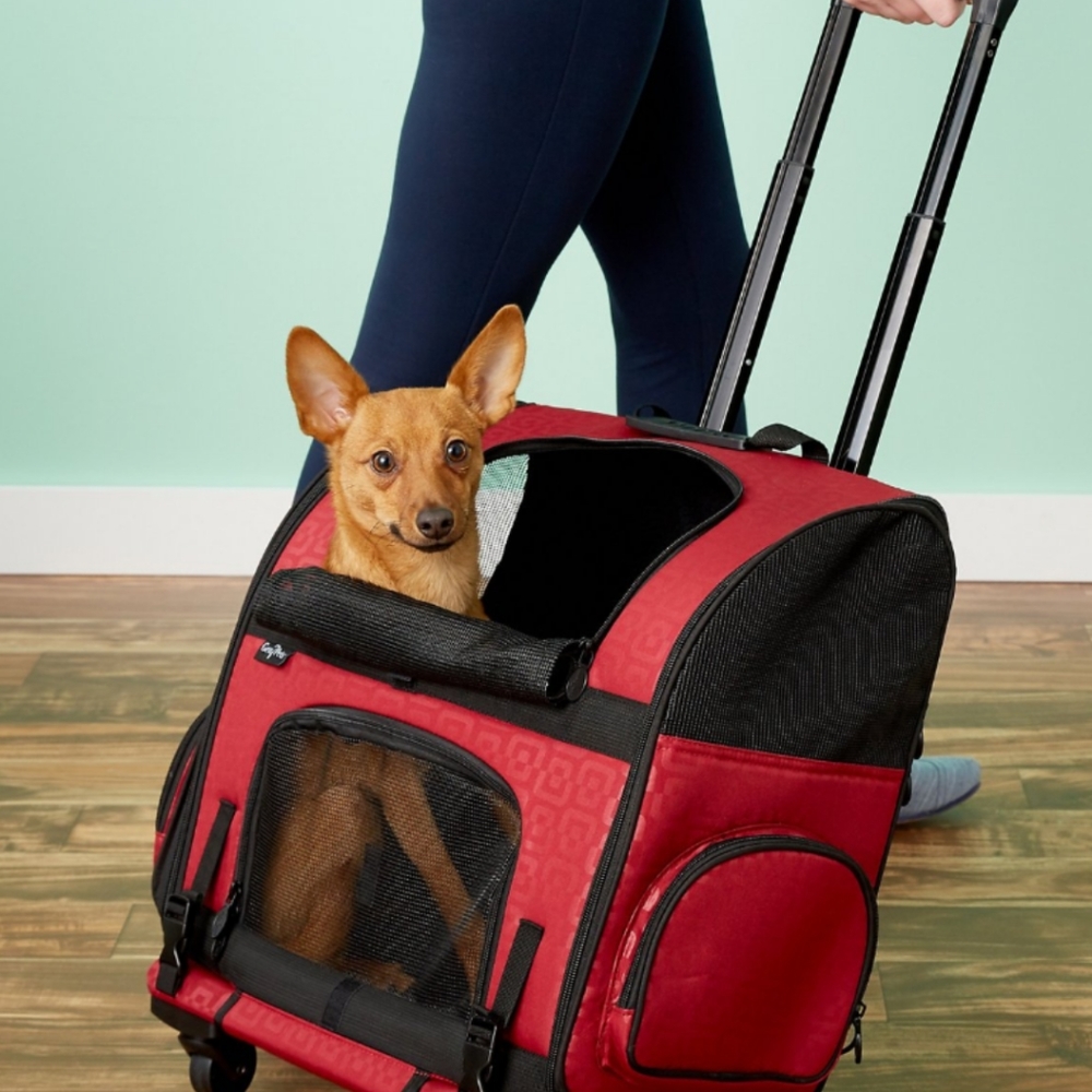 Pet carrier